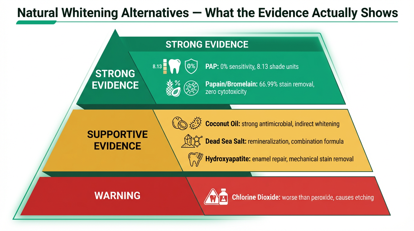 Evidence-based infographic showing natural whitening alternatives in three tiers: Tier 1 strong evidence (PAP with 0% sensitivity and papain/bromelain with 66.99% stain removal), Tier 2 supportive evidence (coconut oil, Dead Sea salt, hydroxyapatite), and Tier 3 warning (chlorine dioxide worse than peroxide)